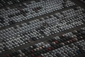 Sacramento auction